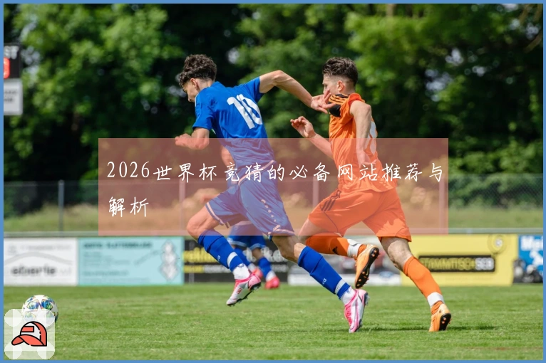 2026世界杯竞猜的必备网站推荐与解析