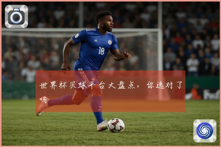 世界杯买球平台大盘点，你选对了吗