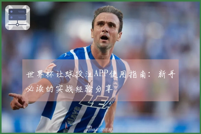 世界杯让球投注APP使用指南：新手必读的实战经验分享
