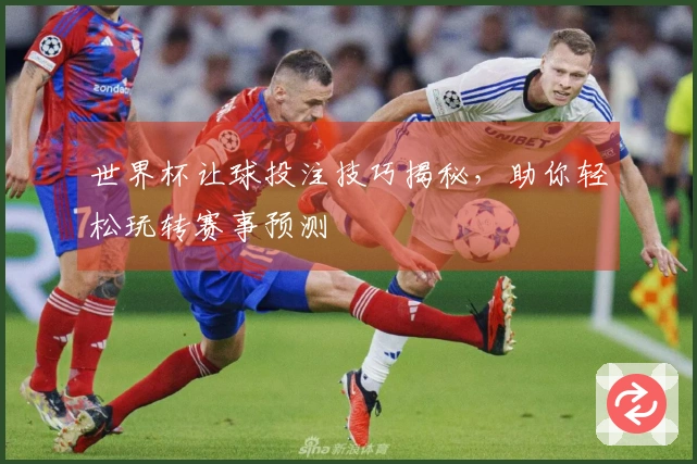 世界杯让球投注技巧揭秘，助你轻松玩转赛事预测