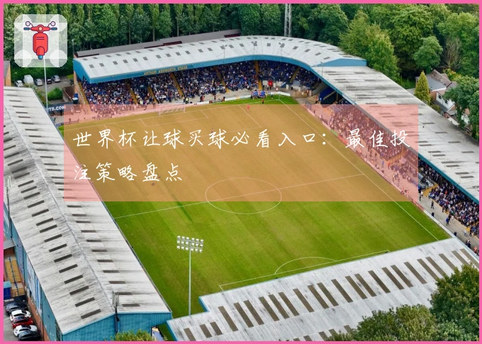 世界杯让球买球必看入口：最佳投注策略盘点