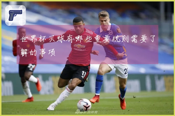 世界杯买球有哪些重要规则需要了解的事项